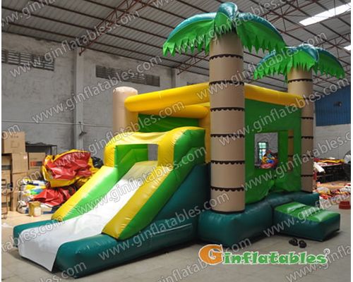 Jungle combo inflatable