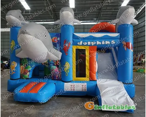 Dolphin inflatable combo