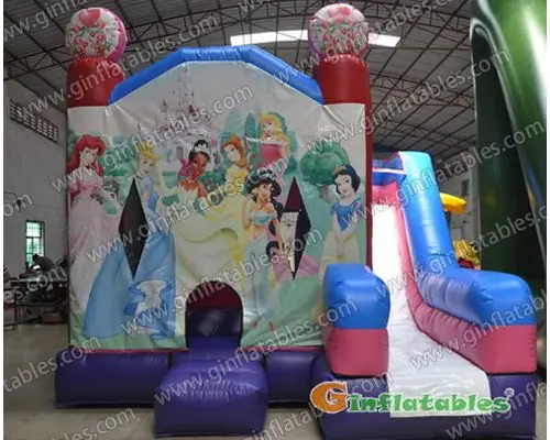 Princess 4 in 1 combo