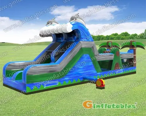 Dolphin obstacle course