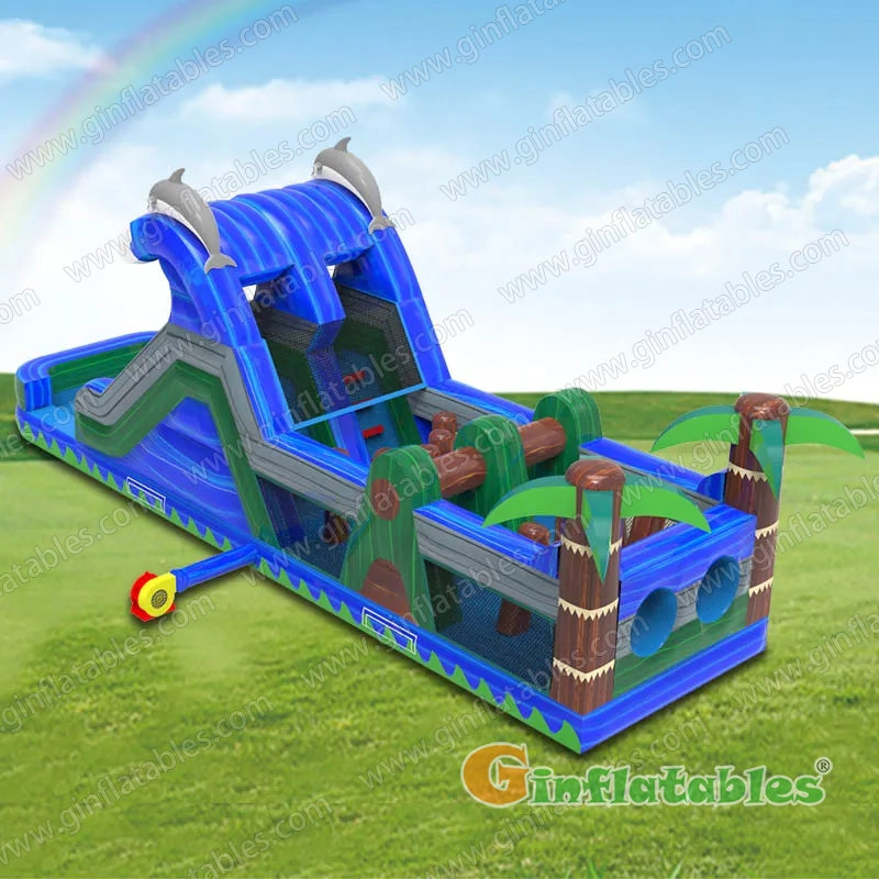 Dolphin obstacle course