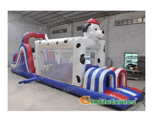 Dalmatian obstacle course