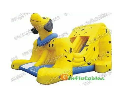 Dog slide