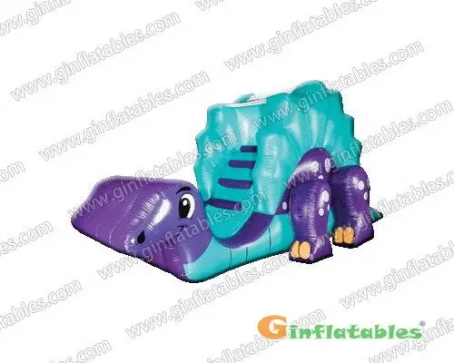 Dudley Dino slide