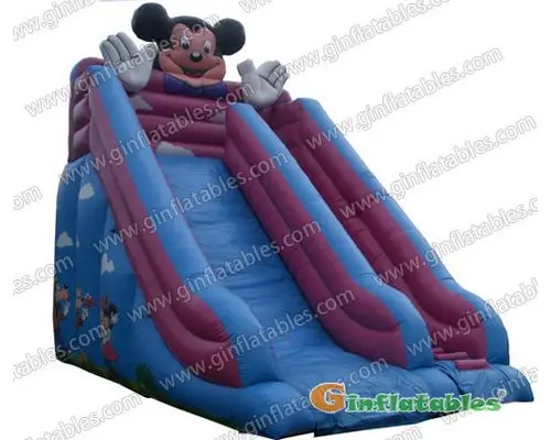 Mickey mouse slide