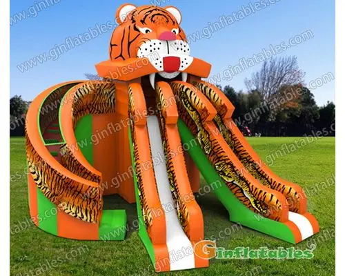 Giant Tiger slide