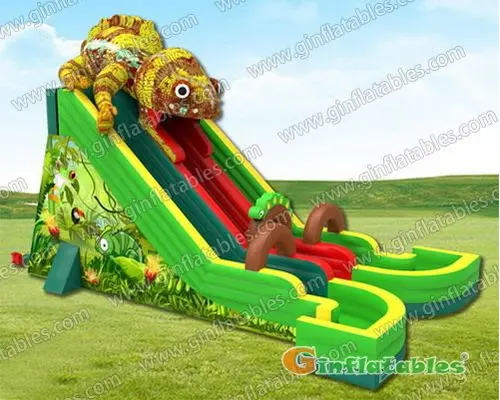 22ft Chameleon Slide