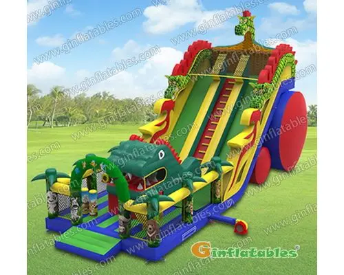 Dragon slide inflatable
