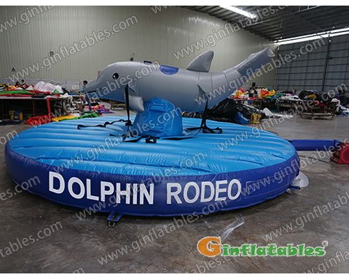 Dolphin riding