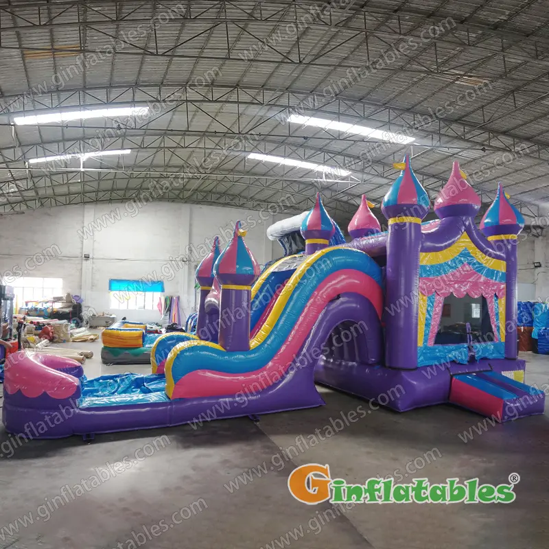 Princess castle wet dry combo