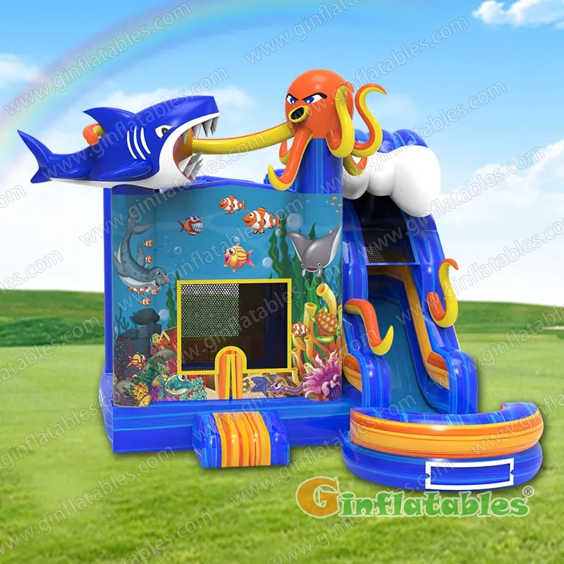 Whale Water Slide 