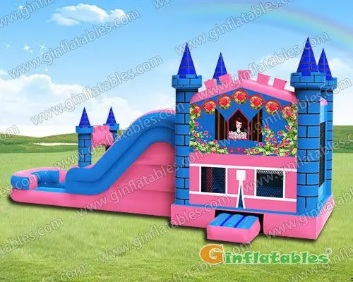 Princess Wet and Dry Combo