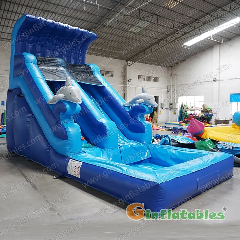 Dolphin water slide