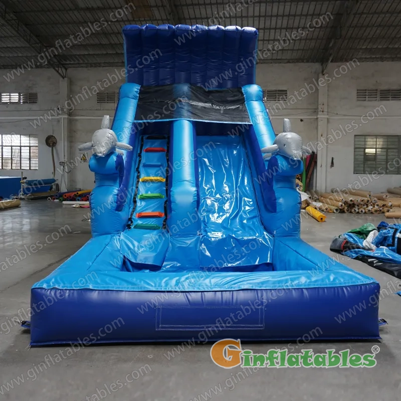 Dolphin water slide