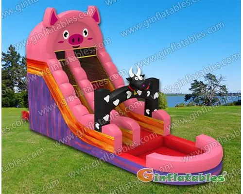 Farm water slide