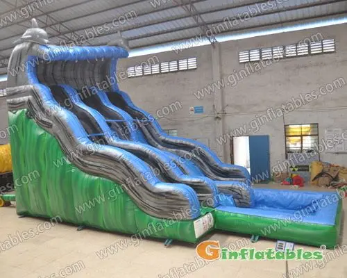 Dolphin water slide