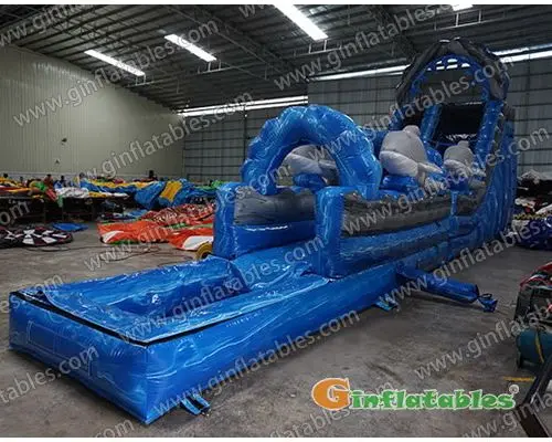 Dolphin water slide