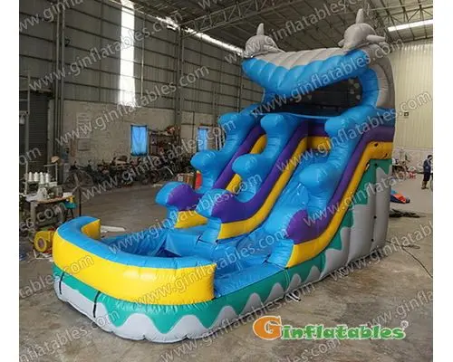 Dolphin water slide