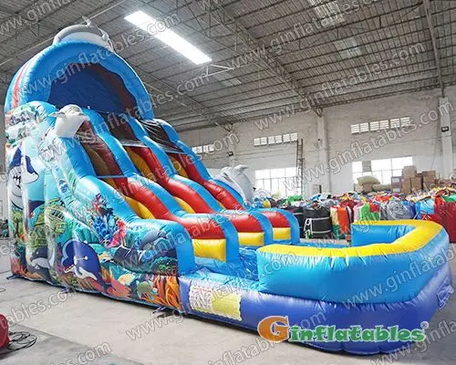 Ocean dual water slide