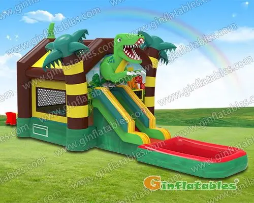 Dinosaur combo with pool