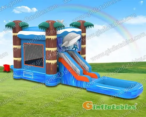 Dolphin combo with pool