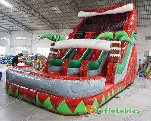 Wild world dual water slide Wild world dual water slide