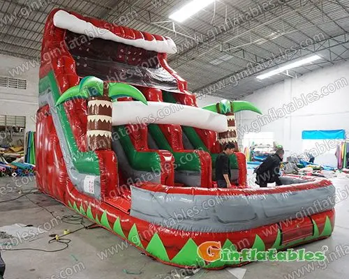 Wild world dual water slide