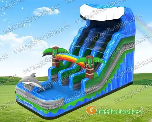 Dolphin wave dual lane slide