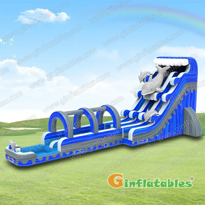 24FT Dolphin dual water slide