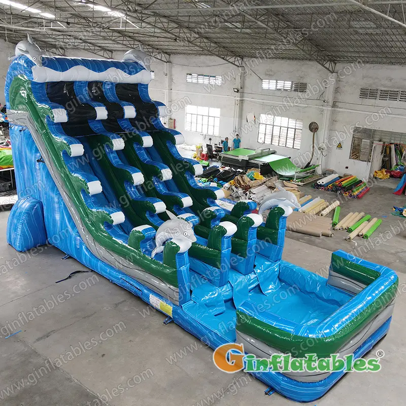 Dolphin water slide dual lane