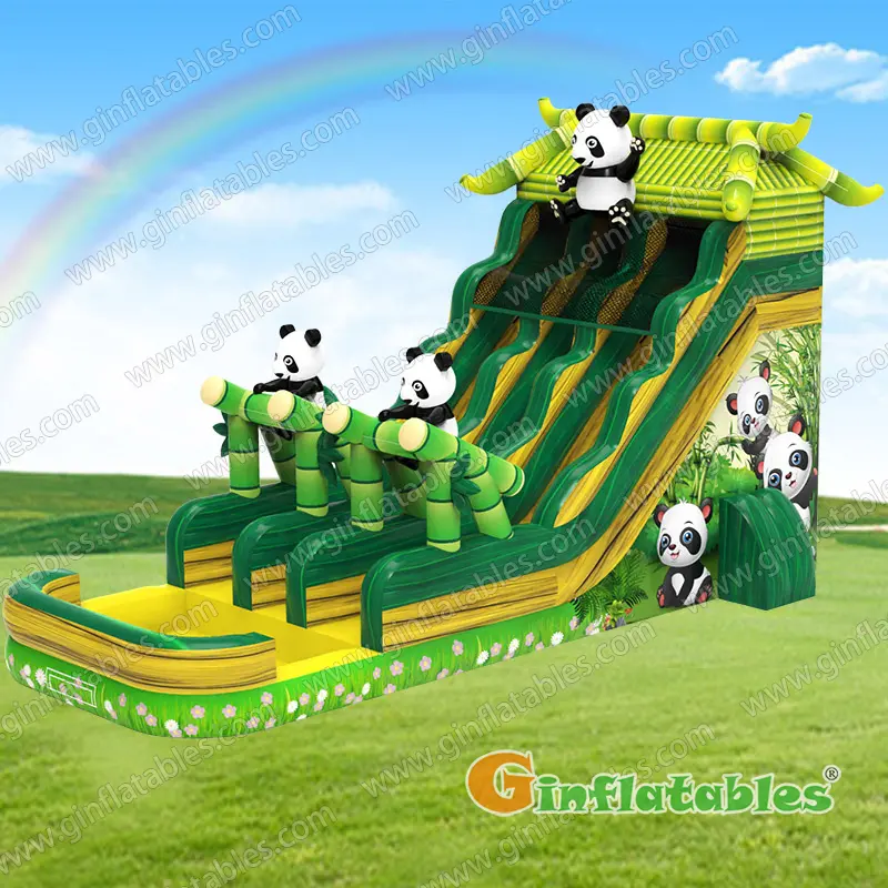 Panda water slide dual lane 