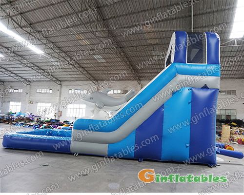 17.5 ft Dolphin dual water slide