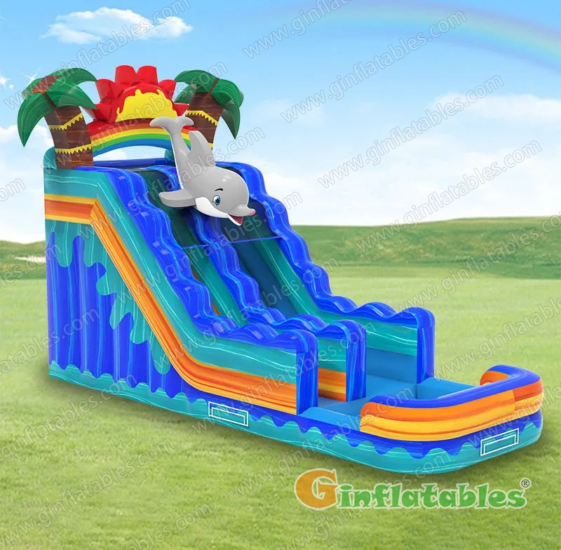 Dolphin Water Slide