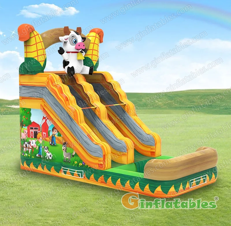 Farm Water Slide