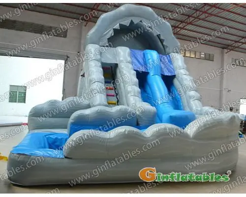 Dual Lane Water Slide