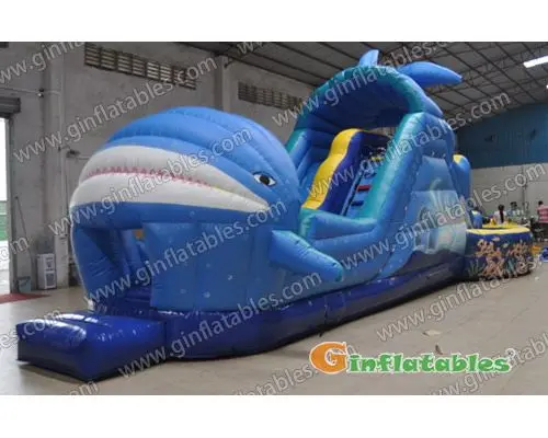 Shark water slide