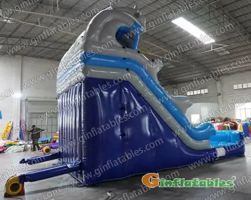Dolphin wave water slide